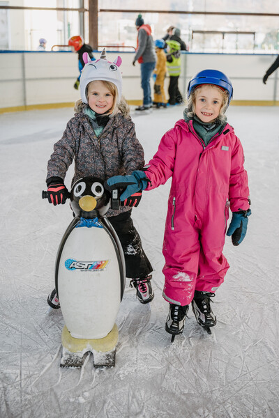 eislaufen 59 rf3 5034